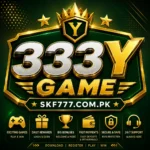 Y333 Game