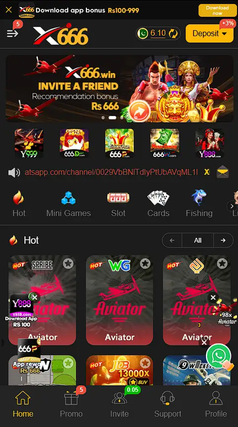 X66